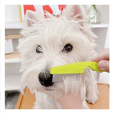 PACK12 PINCEL COMPACTO VERDE PARA MASCOTAS SACA PULGAS SIN MOLESTAR Y+PAPEL REGALO - 5
