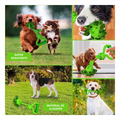 PACK12 CUERDA COMPACTA PARA PERRO CON AGARRADERA DE COLOR VERDE LIMON Y+PAPEL REGALO - 2
