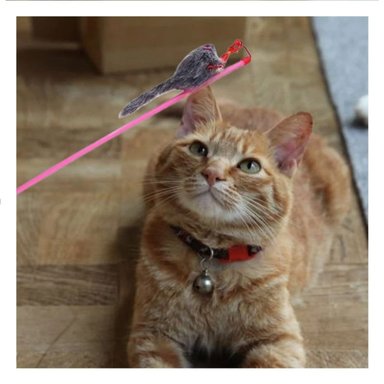 PACK12 ACCESORIO MODERNO PARA GATO CON VARITA DE COLOR ROSADO Y RATON PLOMO - 2
