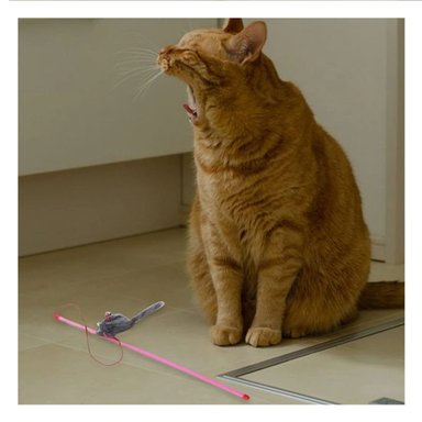 PACK12 ACCESORIO MODERNO PARA GATO CON VARITA DE COLOR ROSADO Y RATON PLOMO - 5