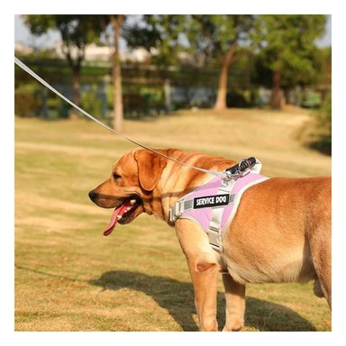 PETO PROFESIONAL SERVICE DOG TALLA XL ROSADO CLARO CON ASA Y+REGALO STICKER - 2