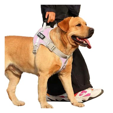 PETO PROFESIONAL SERVICE DOG TALLA XL ROSADO CLARO CON ASA Y+REGALO STICKER - 3