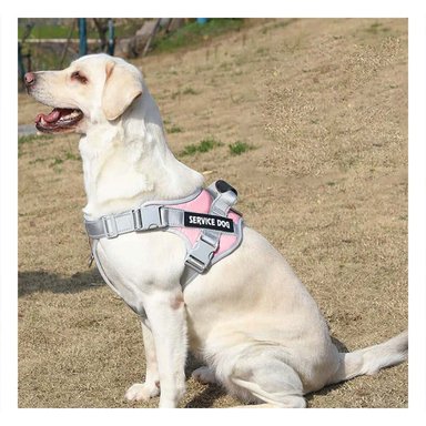 PETO PROFESIONAL SERVICE DOG TALLA XL ROSADO CLARO CON ASA Y+REGALO STICKER - 5