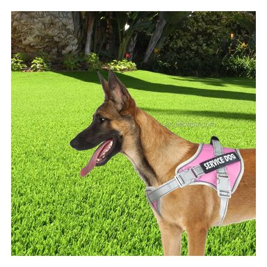 PECHERA AJUSTABLE SERVICE DOG TALLA XL FUCSIA CON ASA Y+LIGAS REGALO - 1
