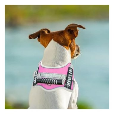 PECHERA AJUSTABLE SERVICE DOG TALLA XL FUCSIA CON ASA Y+LIGAS REGALO - 2
