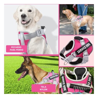 PECHERA AJUSTABLE SERVICE DOG TALLA XL FUCSIA CON ASA Y+LIGAS REGALO - 5