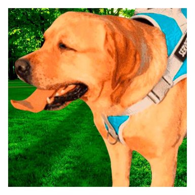PACK4 ARNES RESISTENTE SERVICE DOG TALLA XL TURQUEZA CON ASA Y+PAPEL REGALO - 2
