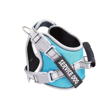 PACK4 ARNES RESISTENTE SERVICE DOG TALLA XL TURQUEZA CON ASA Y+PAPEL REGALO - 3