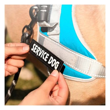 PACK4 ARNES RESISTENTE SERVICE DOG TALLA XL TURQUEZA CON ASA Y+PAPEL REGALO - 5