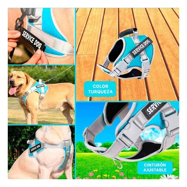 PACK6 PETO RESISTENTE SERVICE DOG TALLA XL TURQUEZA CON ASA Y+PAPEL REGALO - 3