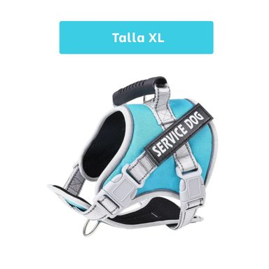 PACK6 PETO RESISTENTE SERVICE DOG TALLA XL TURQUEZA CON ASA Y+PAPEL REGALO - 4