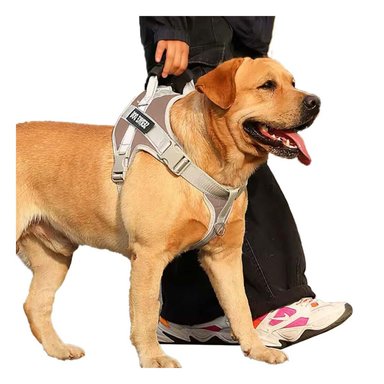 HARNESS PROFESIONAL SERVICE DOG TALLA XS MARRON CON ASA Y+PAPEL REGALO - 1