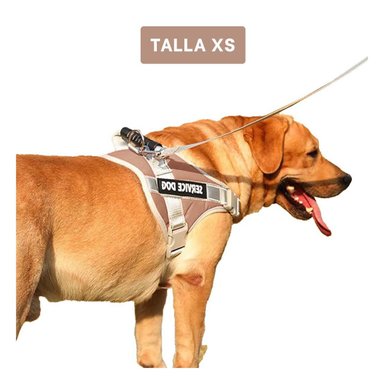 HARNESS PROFESIONAL SERVICE DOG TALLA XS MARRON CON ASA Y+PAPEL REGALO - 4
