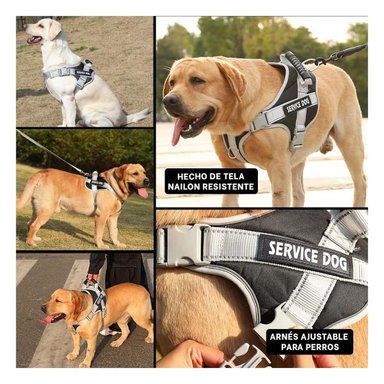 ARNES AJUSTABLE SERVICE DOG TALLA XS NEGRO CON ASA Y+POST IT - 1