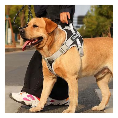 ARNES AJUSTABLE SERVICE DOG TALLA XS NEGRO CON ASA Y+POST IT - 3