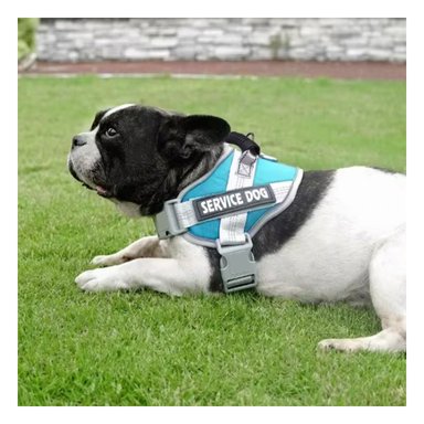 PACK6 PECHERA COMODA SERVICE DOG TALLA XS TURQUEZA CON ASA Y+REGALO STICKER - 3