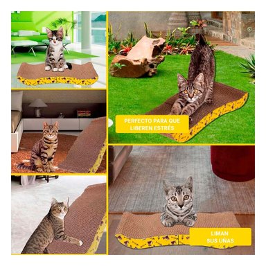 PACK12 SOPORTEPLUS PARA GATOS EN FORMA DE C CON SUPERFICIE RESISTENTE Y+PAPEL REGALO - 2