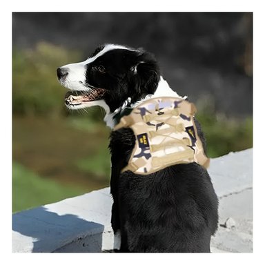 PECHERA RESISTENTE PARA PERRO VERDE CLARO TALLA S TACTICO Y+PAPEL REGALO - 1