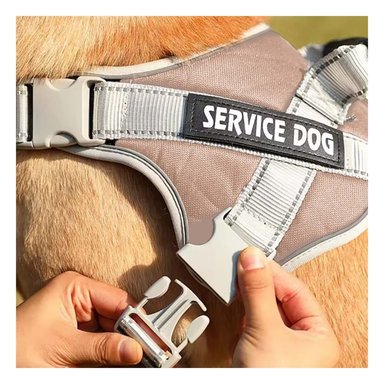 PACK4 PECHERA RESISTENTE SERVICE DOG TALLA XS MARRON CON ASA - 3