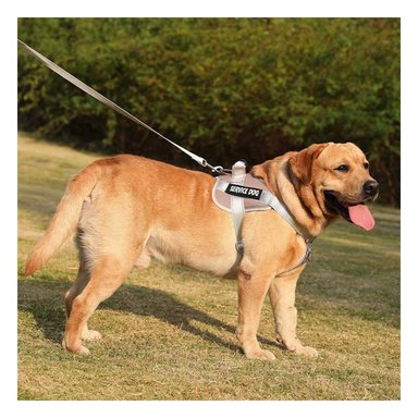 PACK4 PECHERA RESISTENTE SERVICE DOG TALLA XS MARRON CON ASA - 5