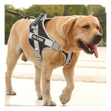 PACK4 PECHERA RESISTENTE SERVICE DOG TALLA XS NEGRO CON ASA - 3