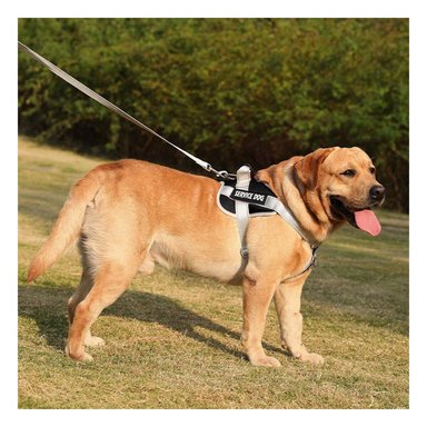 PACK4 PECHERA RESISTENTE SERVICE DOG TALLA XS NEGRO CON ASA - 5
