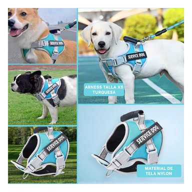 PACK6 PETO RESISTENTE SERVICE DOG TALLA XS TURQUEZA CON ASA Y+PAPEL REGALO - 3