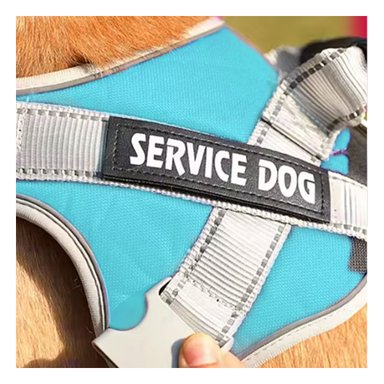 PACK6 PETO RESISTENTE SERVICE DOG TALLA XS TURQUEZA CON ASA Y+PAPEL REGALO - 5