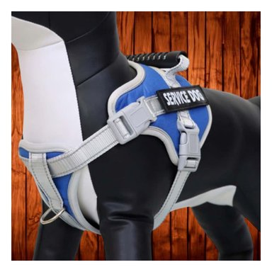 PACK6 HARNESS RESISTENTE SERVICE DOG TALLA XS AZUL CON ASA - 3
