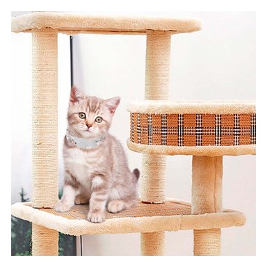PACK6 COLLARIN COMODO MODELO PEZ GRIS PARA MASCOTA Y+PAPEL REGALO - 2