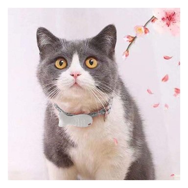 PACK6 COLLARIN COMODO MODELO PEZ GRIS PARA MASCOTA Y+PAPEL REGALO - 5