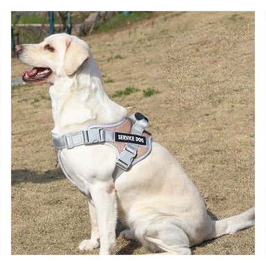 PACK6 PETO RESISTENTE SERVICE DOG TALLA XS MARRON CON ASA Y+PAPEL REGALO - 2