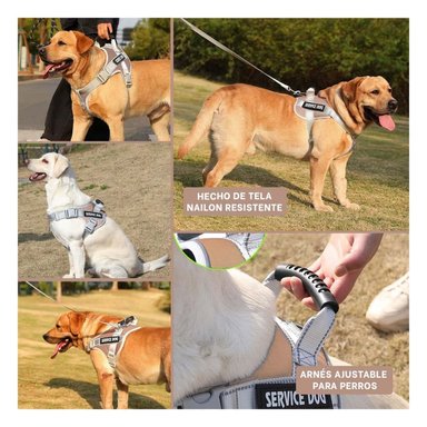 PACK6 PETO RESISTENTE SERVICE DOG TALLA XS MARRON CON ASA Y+PAPEL REGALO - 3