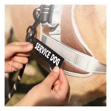 PACK6 PETO RESISTENTE SERVICE DOG TALLA XS MARRON CON ASA Y+PAPEL REGALO - 5