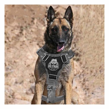 CHALECO PARA PERRO DOG STRONG NEGRO TALLA L REFORZADO Y COMODO Y+PAPEL REGALO - 3