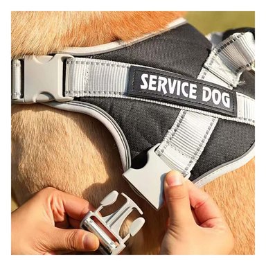 PACK6 HARNESS RESISTENTE SERVICE DOG TALLA XS NEGRO CON ASA - 3