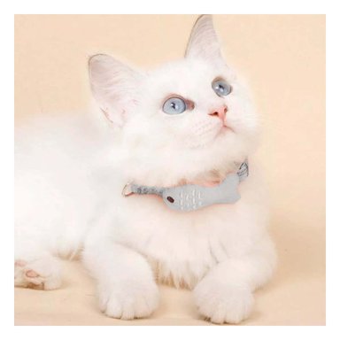 CINTA AJUSTABLE MODELO PEZ GRIS PARA MASCOTA - 2