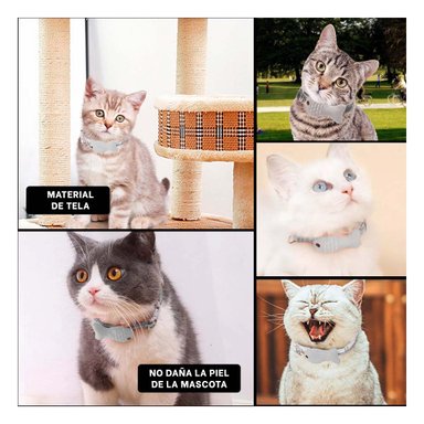 CINTA AJUSTABLE MODELO PEZ GRIS PARA MASCOTA - 5