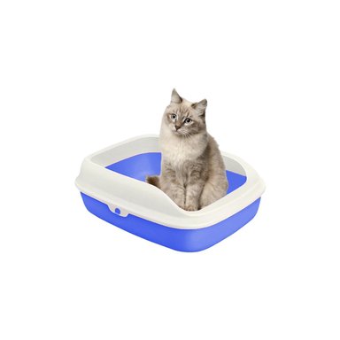 PACK6 ARENERO SEMICERRADO AZUL PARA MASCOTAS INTERIOR Y+REGALO STICKER - 2