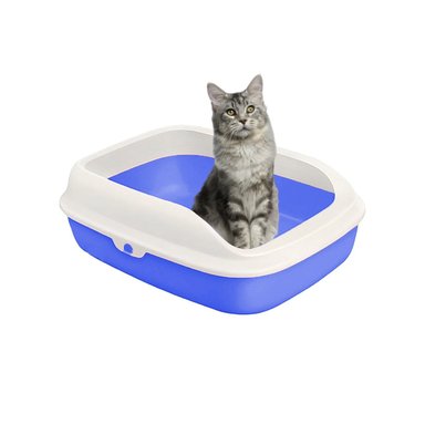 PACK4 BANDEJA HIGIENICA PARA MASCOTAS AZUL CON CONTROL DE OLORES Y+PAPEL REGALO - 3