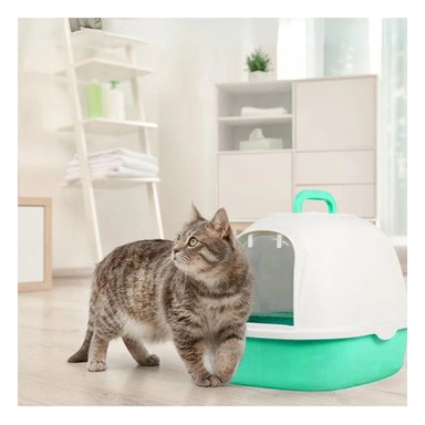 PACK4 ARENERO CUBIERTO DE GATO VERDE CAT PARA CASA MODERNA Y+PAPEL REGALO - 2