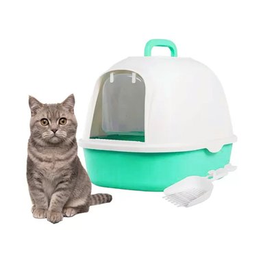 PACK4 ARENERO CUBIERTO DE GATO VERDE CAT PARA CASA MODERNA Y+PAPEL REGALO - 3