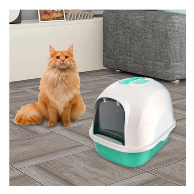 PACK4 ARENERO CUBIERTO DE GATO VERDE CAT PARA CASA MODERNA Y+PAPEL REGALO - 5