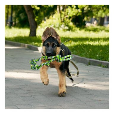 PACK6 TIRA INTERACTIVA QUE COMBINA DIVERSION Y ENTRENAMIENTO VERDE - 2