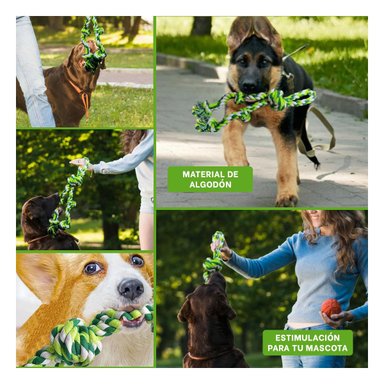 PACK2 CINTA DE ENTRENAMIENTO PARA DIVERSION Y ENERGIA DE PERROS VERDE Y+PAPEL REGALO - 3
