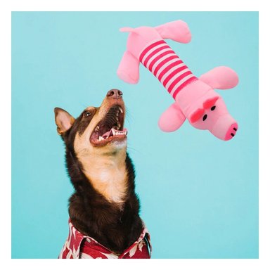 PACK6 COLEGA CHANCHO CON TELA SUAVE Y SEGURA ROSADO Y FUCSIA Y+PAPEL REGALO - 5