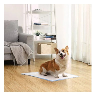 PACK6 TAPETE DE PISO 60X60 TALLA L CELESTE PARA MASCOTAS USO DIARIO EN CASA - 2