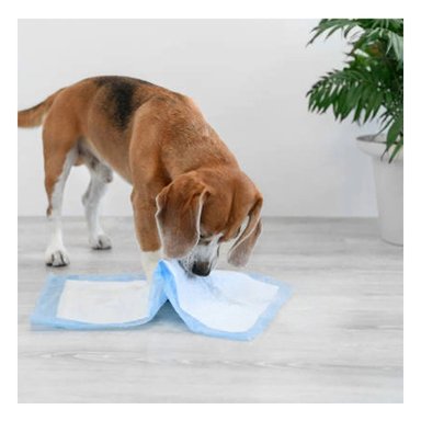 PACK4 IMPLEMENTO DE PISO 60X60 TALLA L CELESTE PARA MASCOTAS USO DIARIO EN CASA Y+PAPEL REGALO - 5