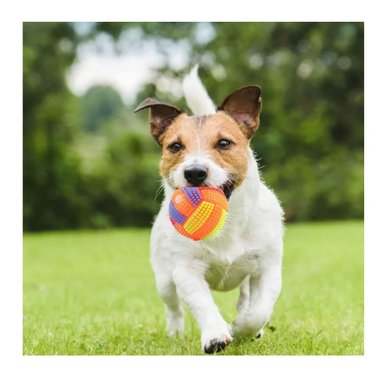 PACK4 JUGUETE CON SONIDO Y LUCES PARA MANTENER ACTIVAS A MASCOTAS NARANJA - 2