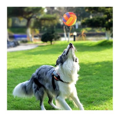 PACK4 JUGUETE CON SONIDO Y LUCES PARA MANTENER ACTIVAS A MASCOTAS NARANJA - 3
